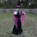Haunted Hill Farm 6-Ft. Tall Fortune Teller Witch, Plug-in Motion-Activated Talking Scare Prop Halloween Animatronic for Indoor or Covered Outdoor Creepy Halloween Decorations, Spooky Halloween Props