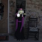 Haunted Hill Farm 6-Ft. Tall Fortune Teller Witch, Plug-in Motion-Activated Talking Scare Prop Halloween Animatronic for Indoor or Covered Outdoor Creepy Halloween Decorations, Spooky Halloween Props