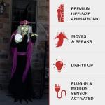 Haunted Hill Farm 6-Ft. Tall Fortune Teller Witch, Plug-in Motion-Activated Talking Scare Prop Halloween Animatronic for Indoor or Covered Outdoor Creepy Halloween Decorations, Spooky Halloween Props