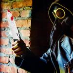 DERAYEE 2PCS Halloween Prop Knife, 12 Inch Plastic Bloody Fake Knife Halloween Classic Horror Prank Props for Scary Halloween Party, Cosplay (Sliver)