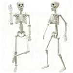 LUKBERA 2PCS Halloween Posable Skeletons, 3FT Full Body Human Skeleton with Movable Joints for Halloween Haunted House Graveyard Party Scary Decor, White