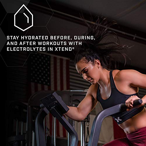 XTEND BCAA Powder - Knockout Fruit Punch