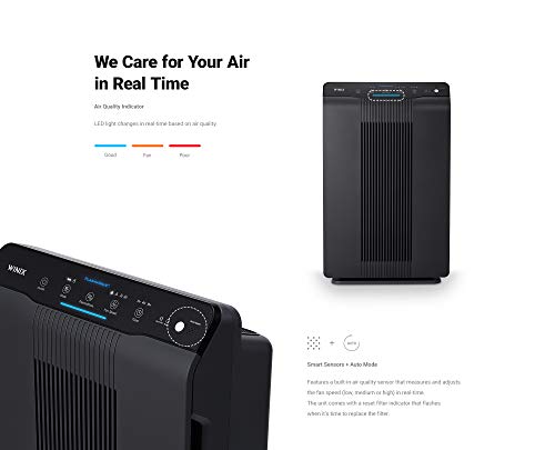 Winix 5500-2 True HEPA Air Purifier