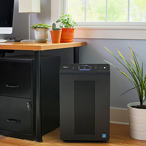 Winix 5500-2 True HEPA Air Purifier
