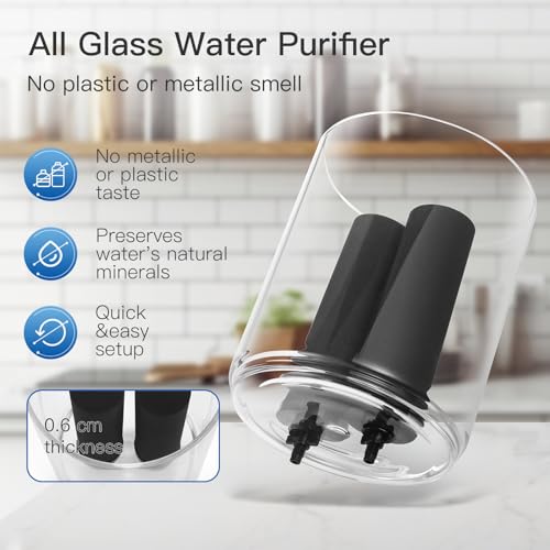 FACHIOO All-Glass Gravity Water Purifier System