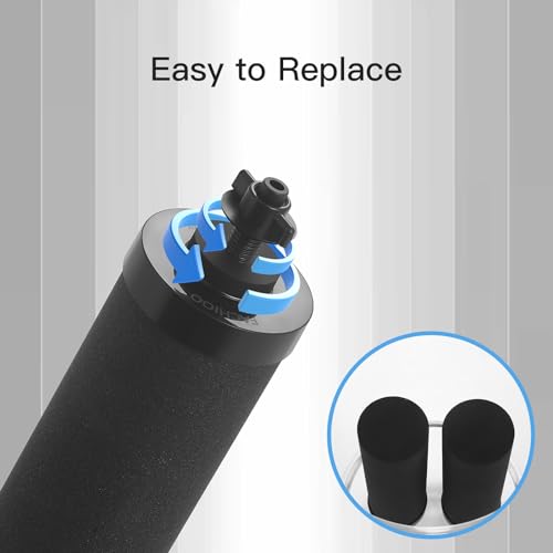 FACHIOO All-Glass Gravity Water Purifier System