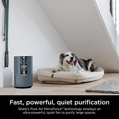 Shark HP102PETBL Air Purifier for Allergies & Pets