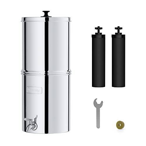 Gravity-Fed Water Filter System with Carbon Filters