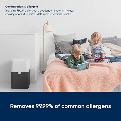 BLUEAIR Large Room Air Purifier for Allergens