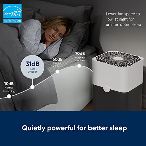BLUEAIR Large Room Air Purifier for Allergens