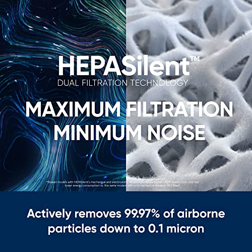 BLUEAIR Large Room Air Purifier for Allergens