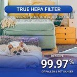 Air Shield UV Air Purifier for Large Rooms