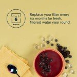 Whirlpool Fast Fill Pur Water Filter for Refrigerators