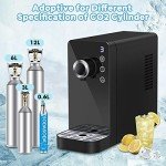 LifePlus Electric Sparkling Water Maker - Black