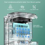 3-in-1 Air Purifier and Dehumidifier Combo