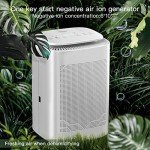 3-in-1 Air Purifier and Dehumidifier Combo