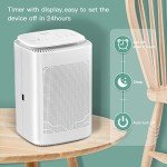 3-in-1 Air Purifier and Dehumidifier Combo