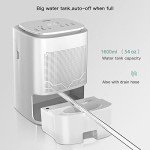 3-in-1 Air Purifier and Dehumidifier Combo