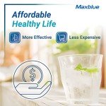 Maxblue Replacement for GE® RPWFE®, RPWF (with CHIP) Refrigerator Water Filter, Compatible with WSG-4, WF277, GFE28GMKES, PFE28KBLTS, GFD28GSLSS, PWE23KSKSS, GYE22HMKES, DFE28JSKSS, 6 Filters