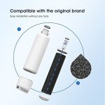 GLACIER FRESH Bosch Refrigerator Water Filter 2 Pack