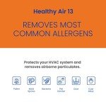AprilAire 313 Replacement Filter for AprilAire Whole House Air Purifiers - MERV 13, Healthy Home Allergy, 20x20x4 Air Filter (Pack of 1)