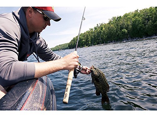 Shakespeare Ugly Stik Elite Spinning Rod, 7