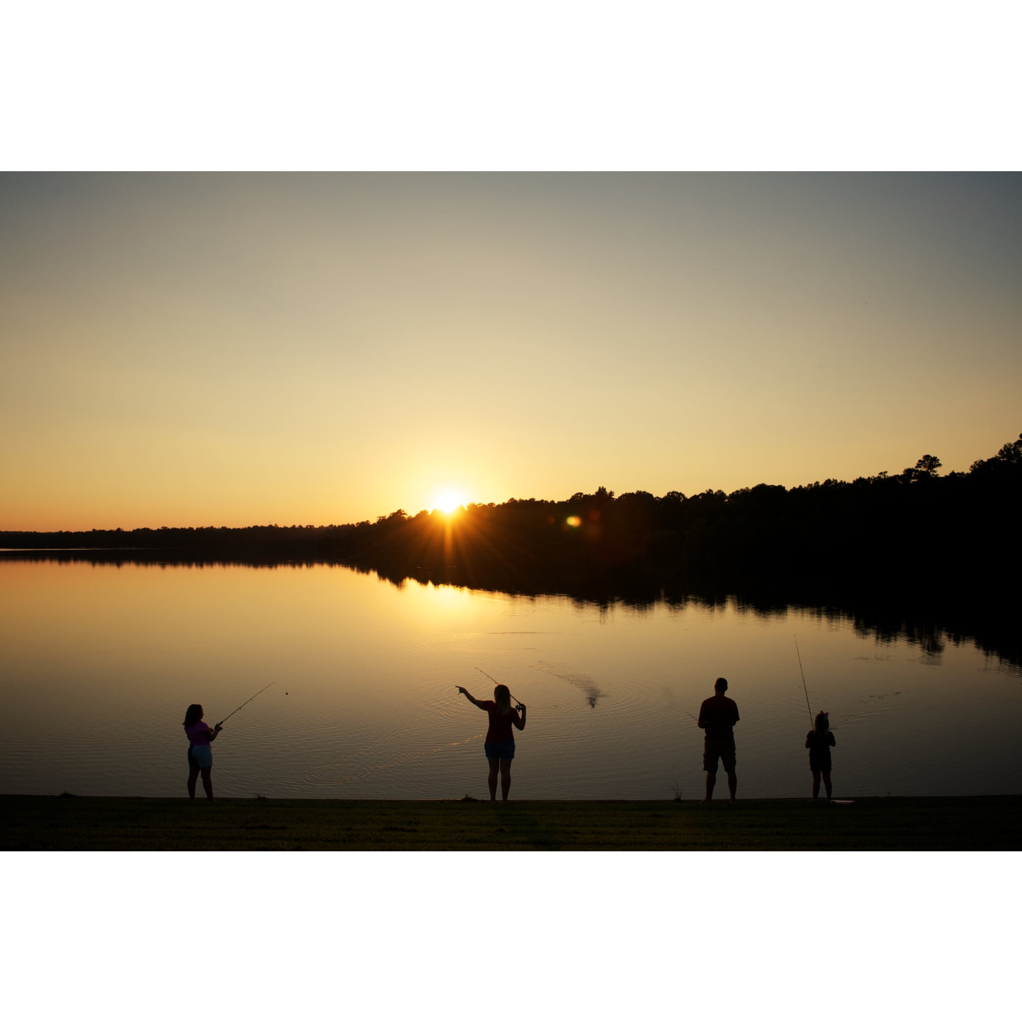 Shakespeare Excursion Spinning Rod