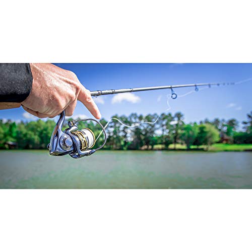 Pflueger President Spinning Reel - Blue