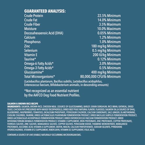 Wag Salmon & Brown Rice Dog Food, 5lb