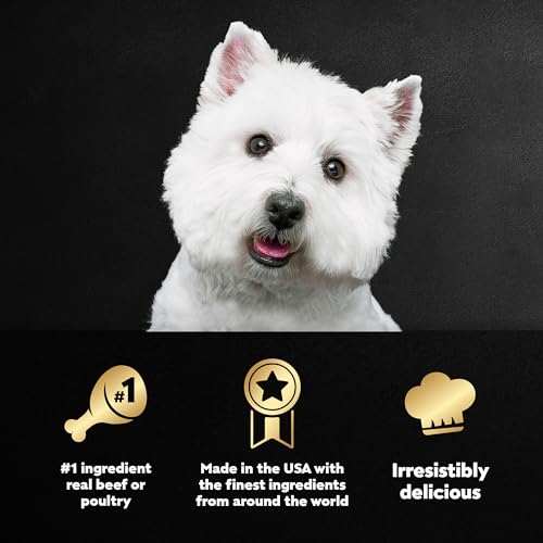 Cesar Wet Dog Food Variety Pack (24)