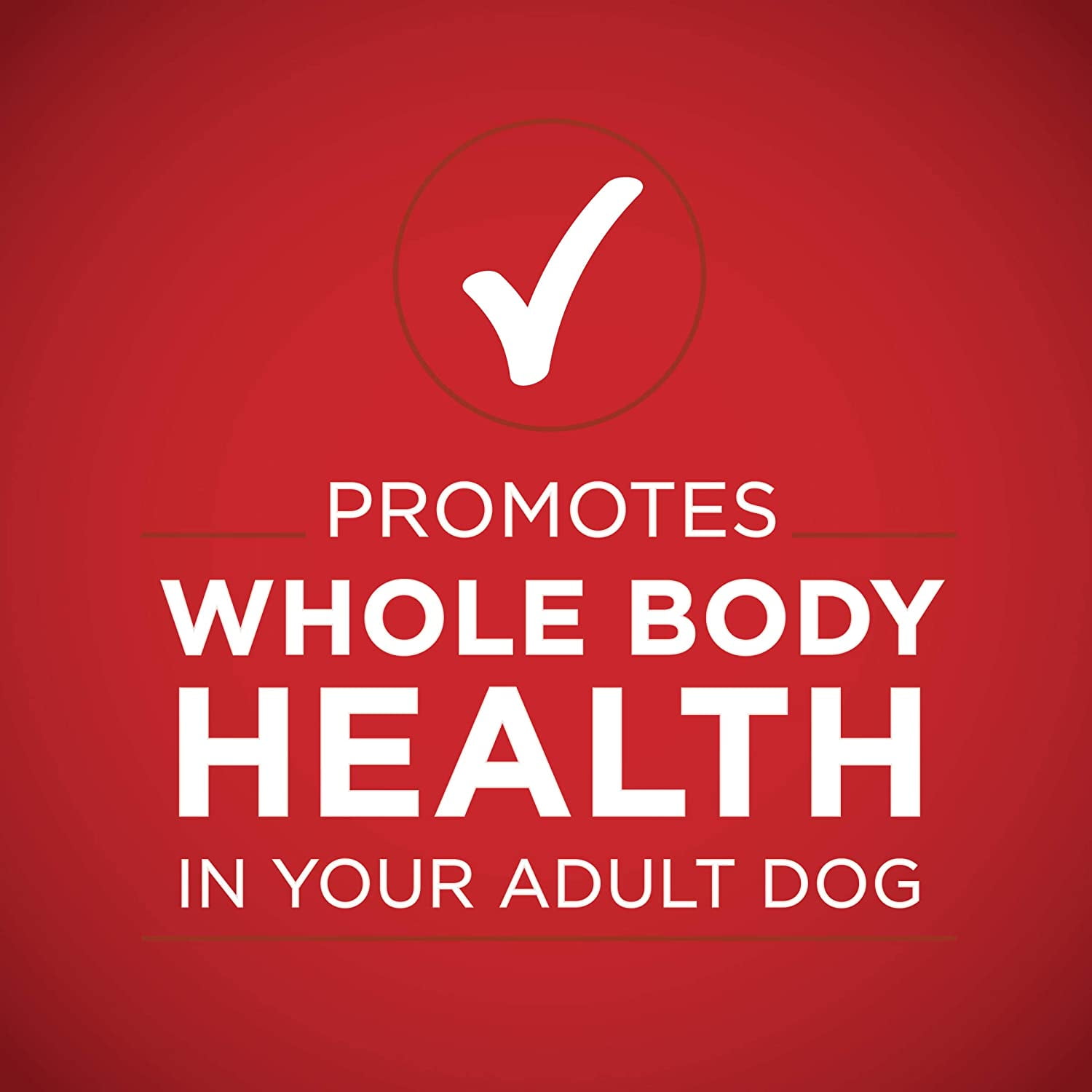 Purina ONE Beef & Chicken Wet Dog Food Variety