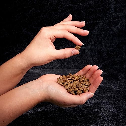 CRAVE Indoor High-Protein Natural Cat Food, 10 lb