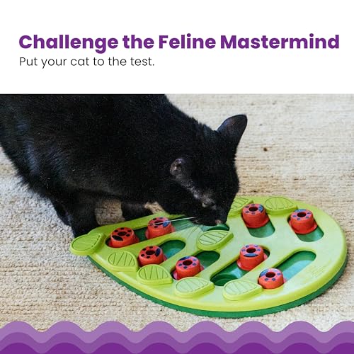 Interactive Cat Treat Puzzle by Petstages