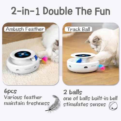 Interactive 2in1 Cat Toy with Timer and Feathers