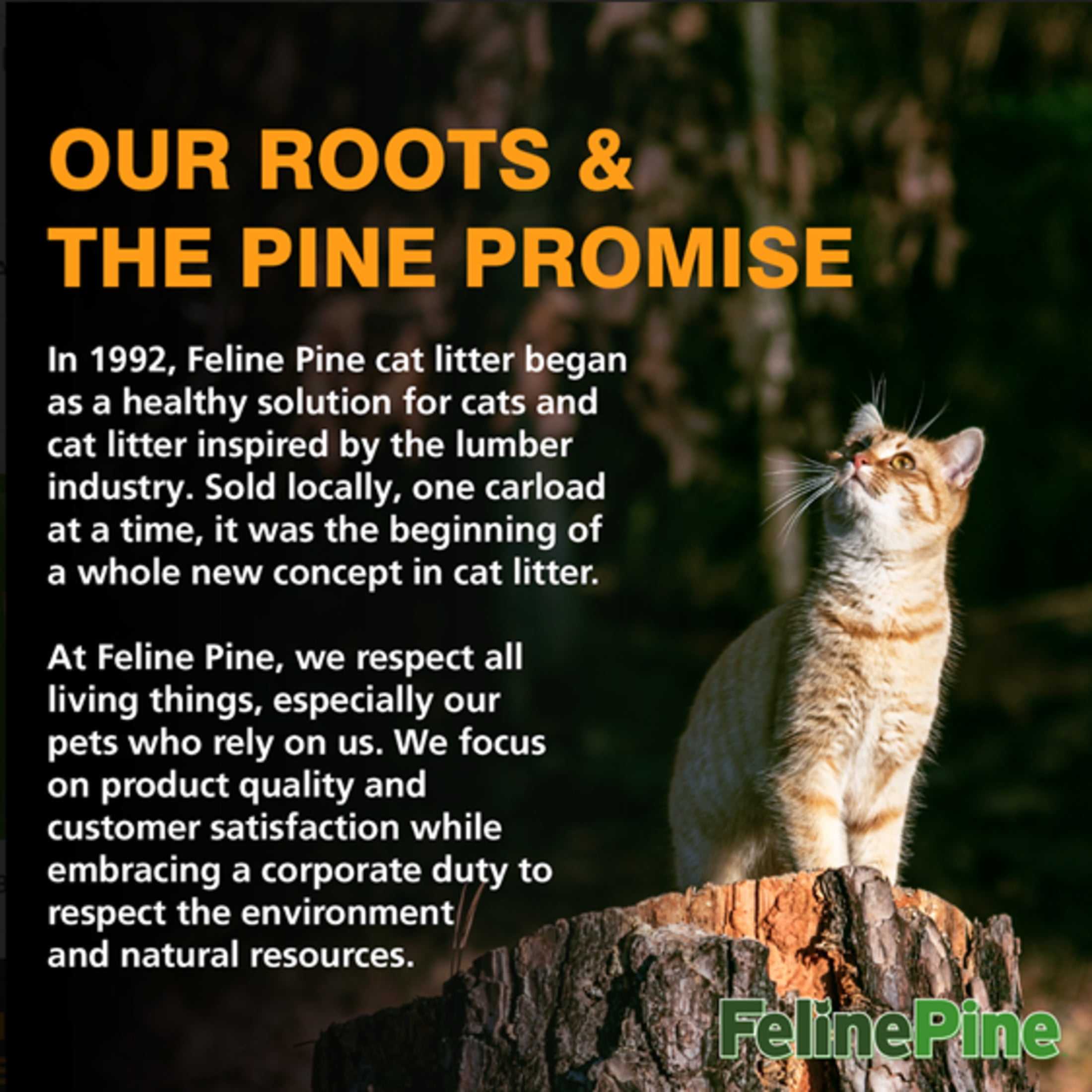 Feline Pine Original 100% Natural Cat Litter, 20lb