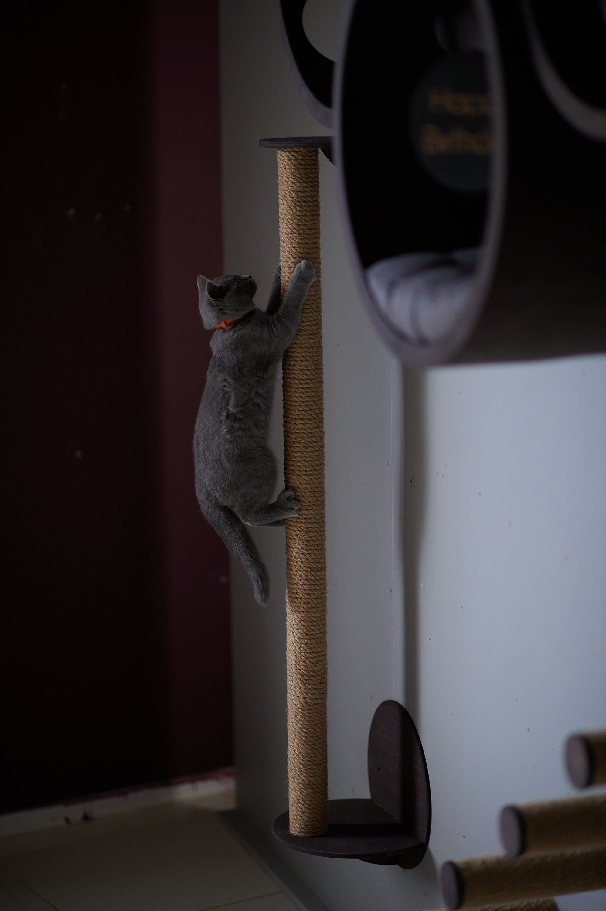 Cat Scratcher Tree & Shelf combo
