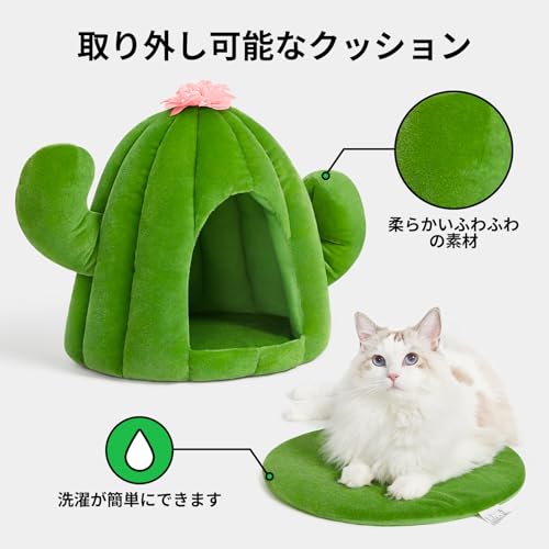 Cactus Cat House with Washable Cushion Pad
