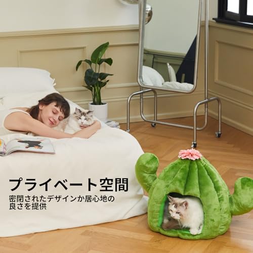 Cactus Cat House with Washable Cushion Pad