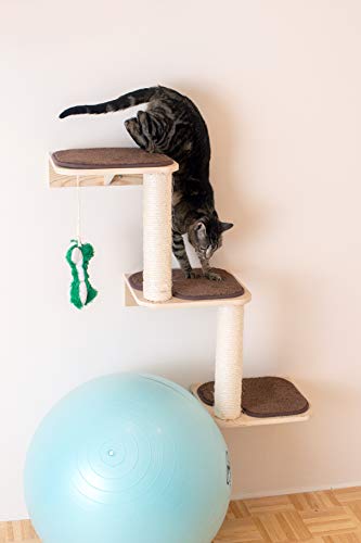 Armarkat Wall Series: Steps W1907C