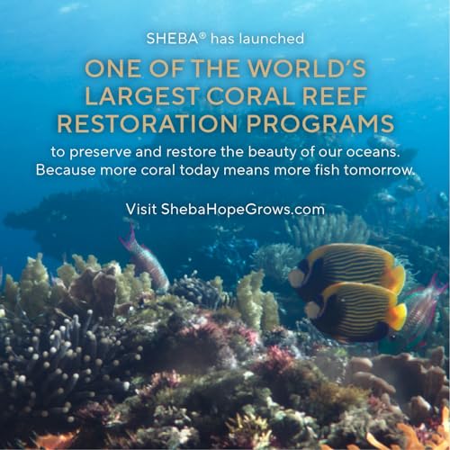 Sheba Chicken & Turkey Wet Cat Food Trays