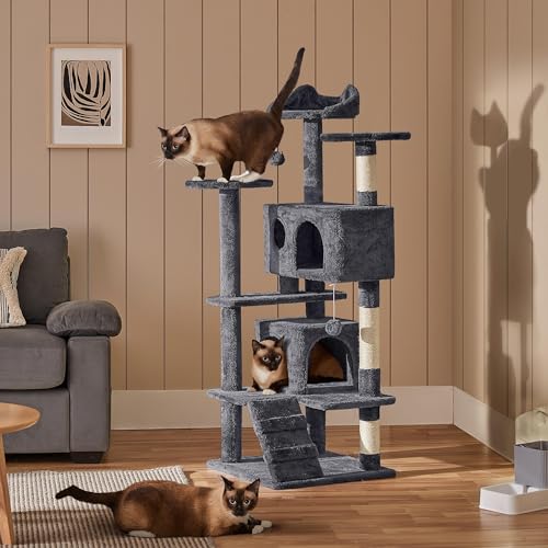 Kitten play station for cats