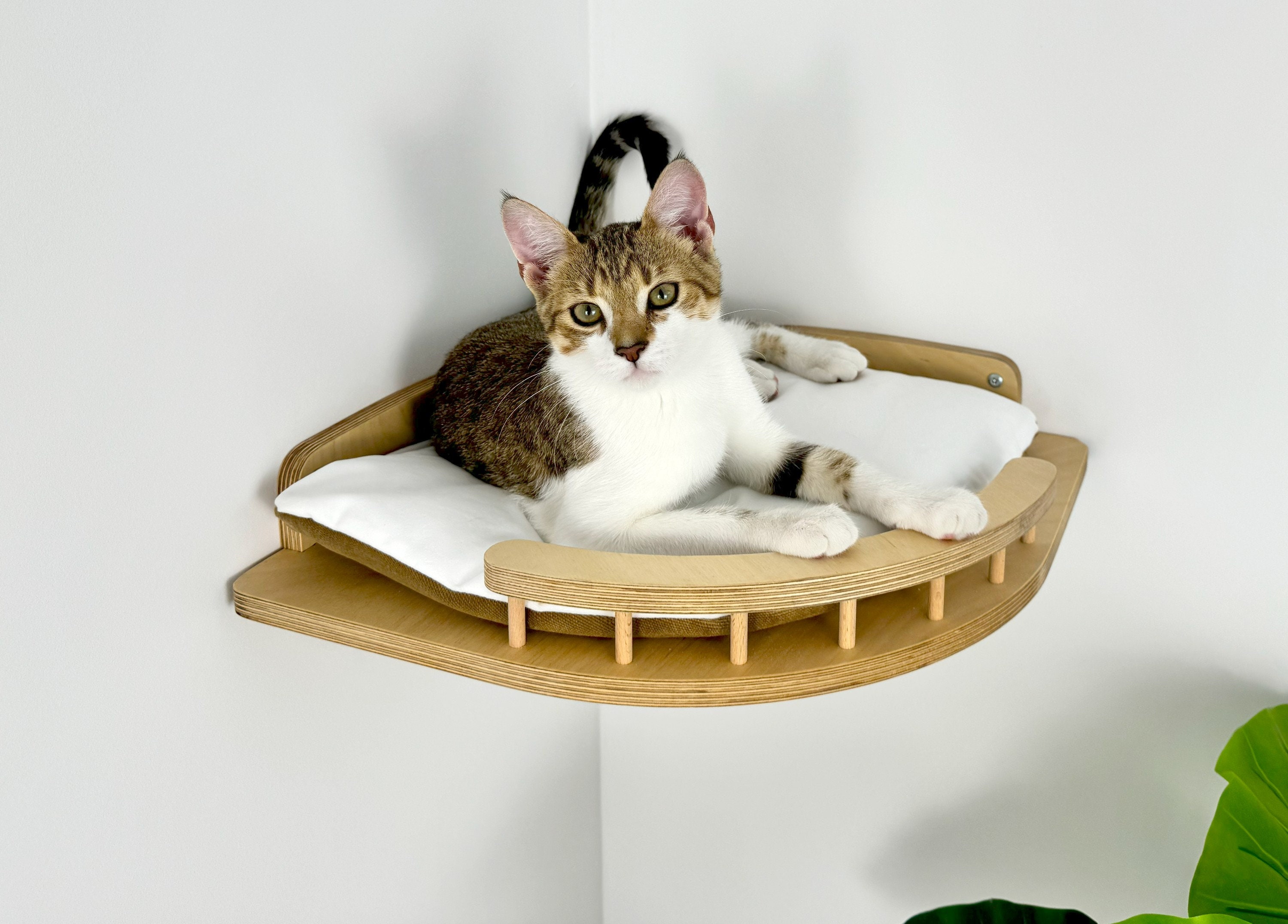 Wall-mounted Cat Furniture & Shelves