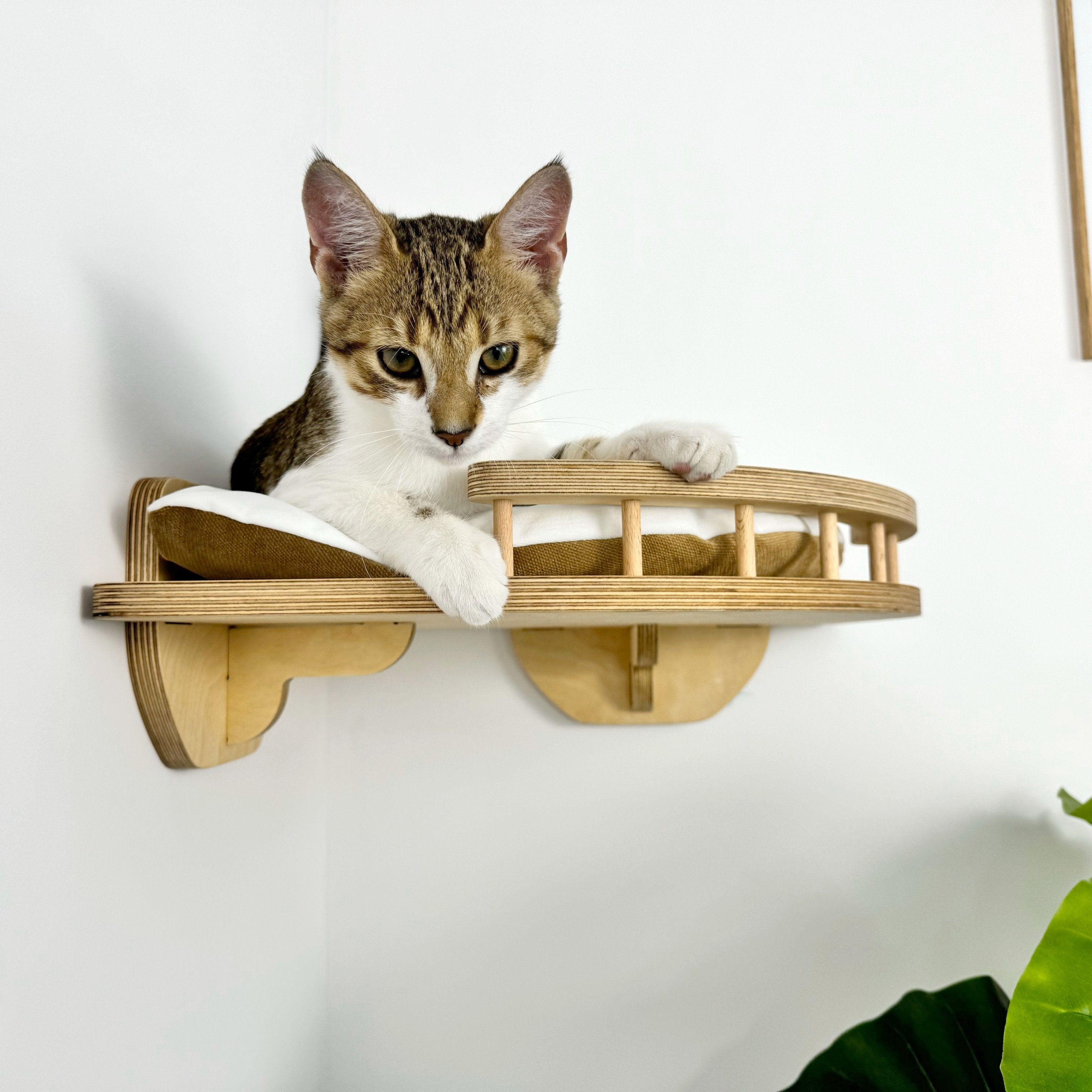 Wall-mounted Cat Furniture & Shelves