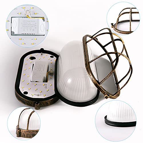 Waterproof LED Light for Sauna, Outdoor, Bedroom. Brown