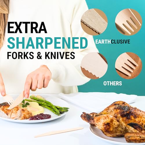 Compostable Wooden Cutlery Set - 300 pieces