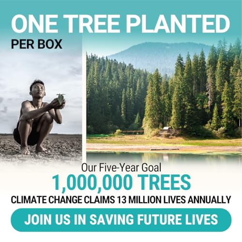 Compostable Wooden Cutlery Set - 300 pieces