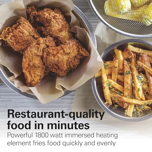 Hamilton Beach Deep Fryer with 2 Baskets, 4.5 Liters