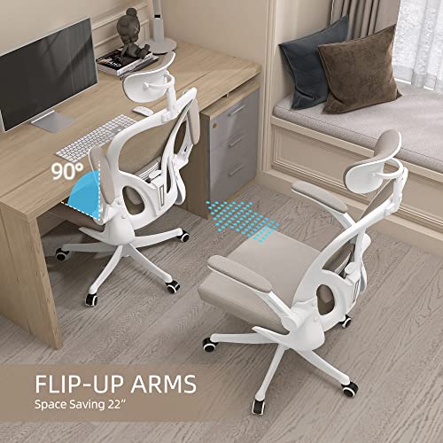 Ergonomic High Back Office Chair with Lumbar Support