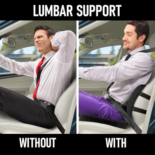 Ergo Seat Cushion and Lumbar Support Combo