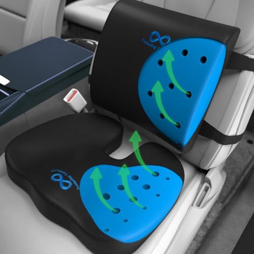 Ergo Seat Cushion and Lumbar Support Combo